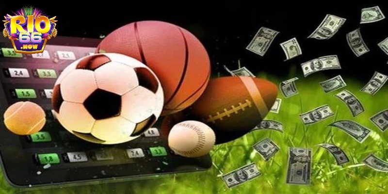 Cập nhật bảng kèo chi tiết tại Rio66