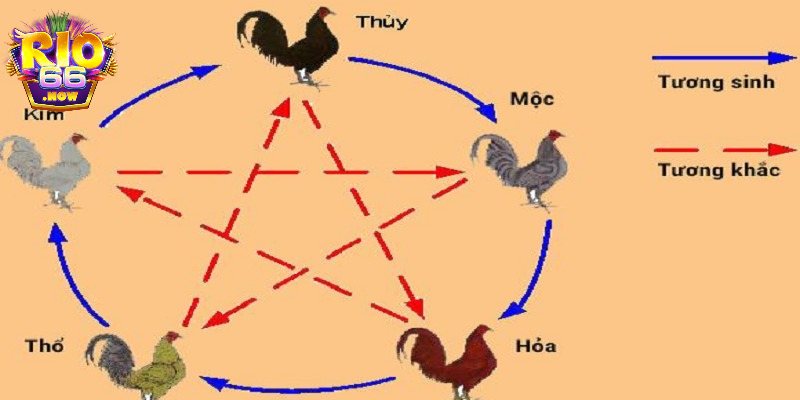 Tìm hiểu ý nghĩa của màu mạng chiến kê