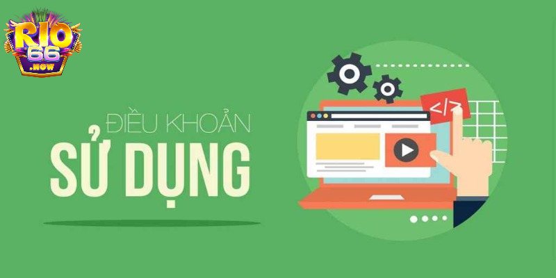 Tổng hợp quy định quan trọng tại Rio66