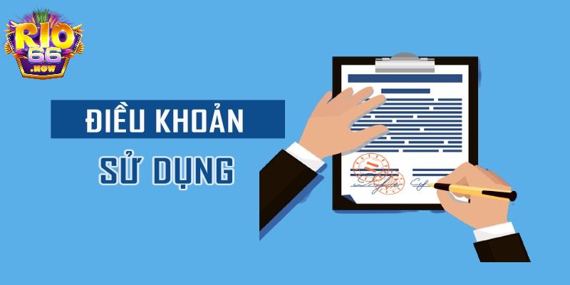 Vai trò quan trọng của điều khoản sử dụng Rio66